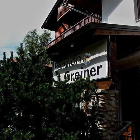 Ubytovani Greiner Guest house *