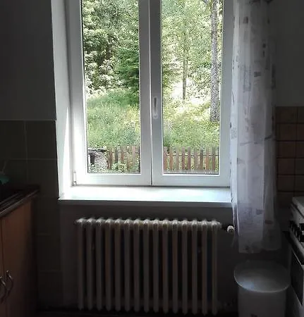 Ubytovani Greiner Pensionat *