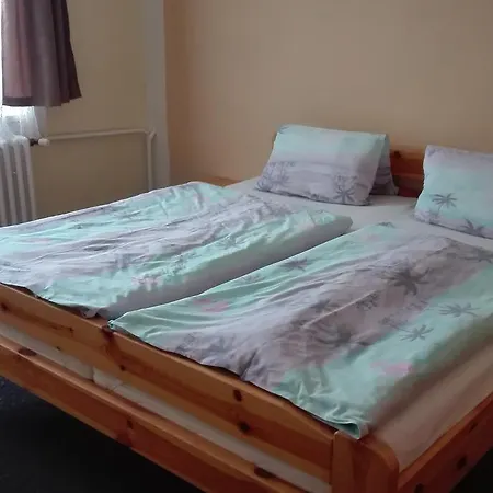 Ubytovani Greiner Guest house *