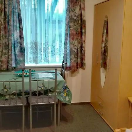 Ubytovani Greiner Guest house *